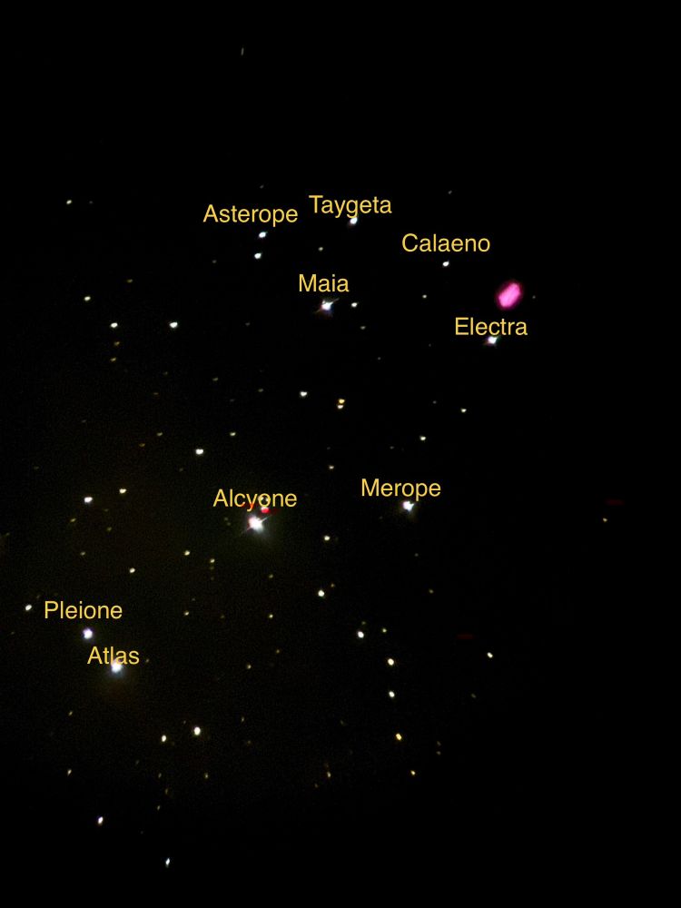 Picture of the Pleiades last night with the main stars labeled in yellow. 