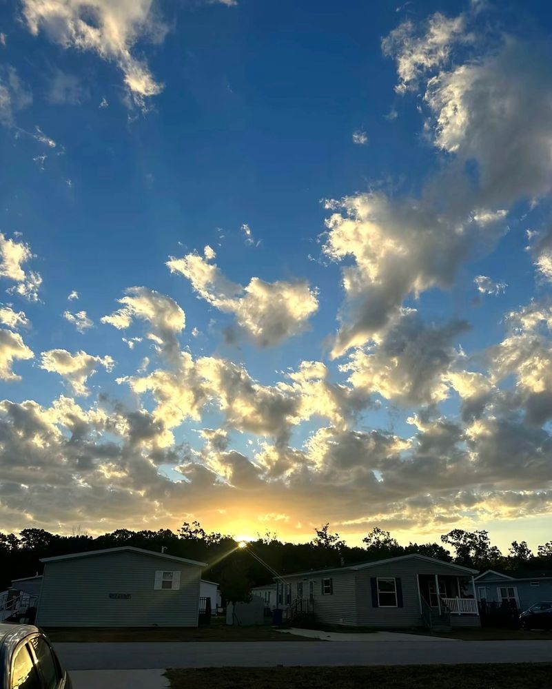 Beautiful World 🫩😁