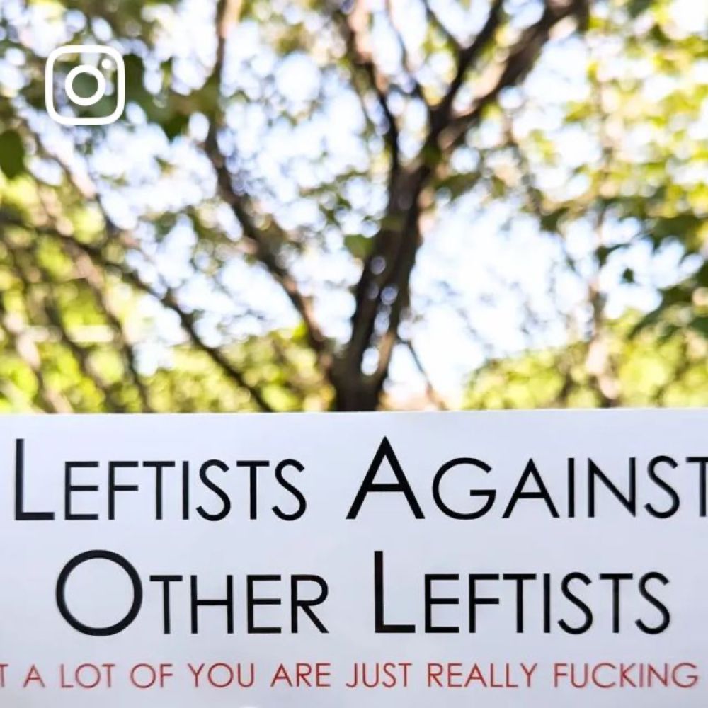 Cunning Linguist Co. on Instagram: "When you're getting mad at me for this one, please take a moment to remember that I'm the leftist you think is annoying. 💕

#leftists #annoying #bumpersticker"