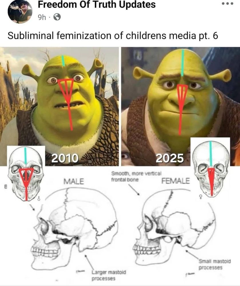 Facebook post from Freedom Of Truth Updates. 

Subliminal feminization of childrens media pt. 6

Pictures of Shrek from 2010 and 2025 with some red and green measurements with pictures of male and female skulls. 