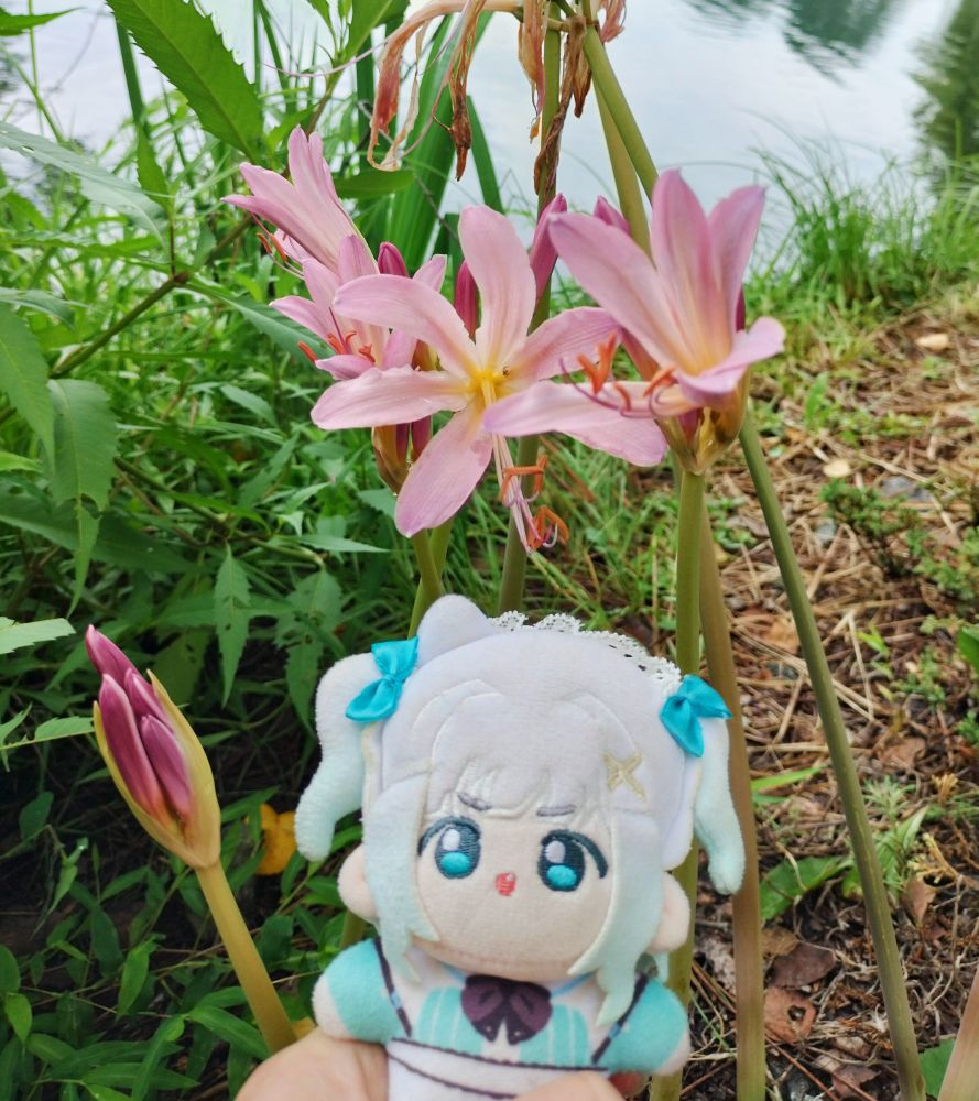 mint fantome plushie at the edge of a pond in front of a few pink resurrection lilies 