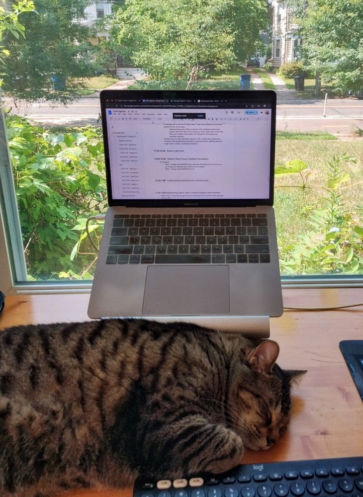 a cat sleeping between a keyboard and an elevated laptop in front of a window with a sunny and verdant streetscape outside