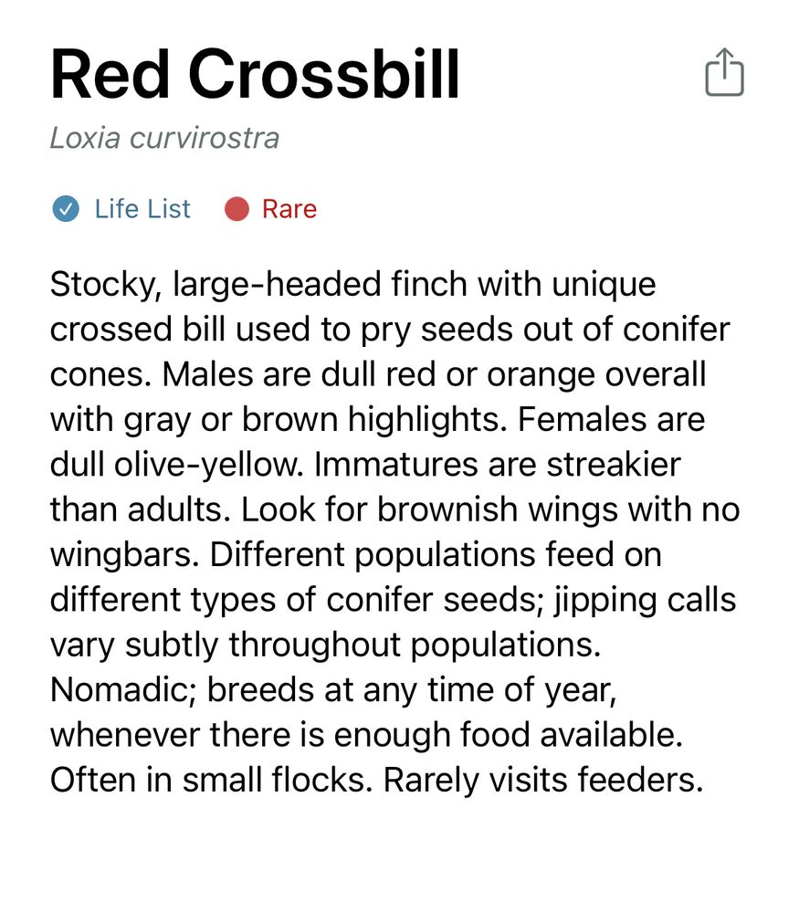 Image reads: Stocky large-headed finch with unique crossed bill used to pry seeds out of conifer cones. Makes are dull red or orange overall with grey or brown highlights. Females are dull olive-yellow. Immatures are streakier than adults. Looke for brownish wings with no wing bars. Different populations feed on different types of conifer seeds; jipping calls vary subtly throughout populations. Nomadic; breeds at any time of the year, whenever there is enough food available. Often in small flocks. Rarely visits feeders. 