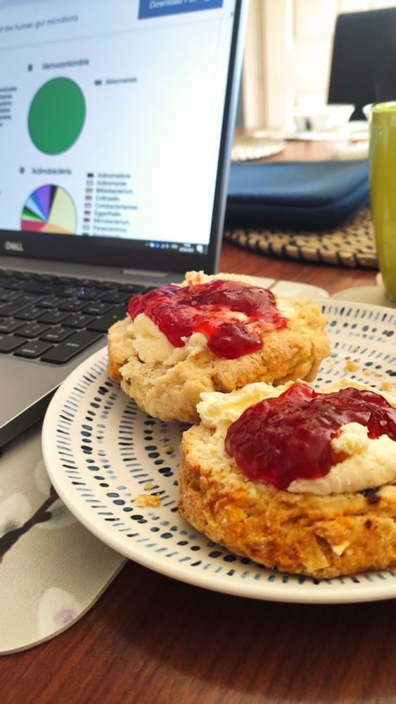 Photograph shows a laptop on a kitchen table with a scone with clotted cream and jam in the foreground. Cream before jam, of course. 