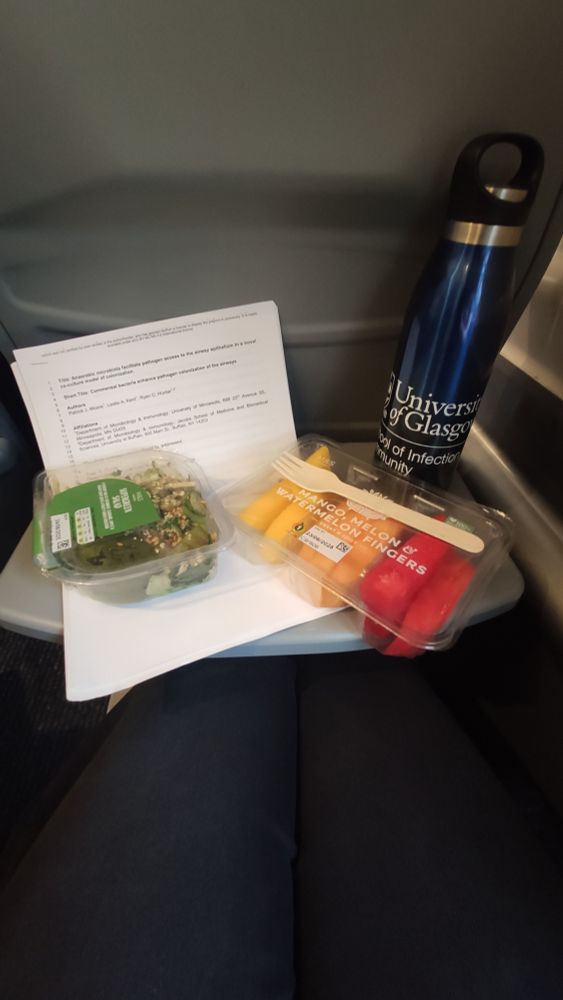 A small train seat table with reading material and a healthy lunch of salad and fruit for the journey 