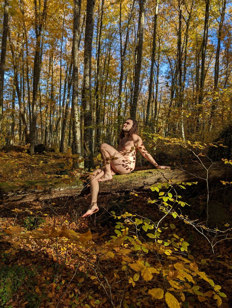 Me, sitting naked and holding me back on my arms on top of a mossy log in the middle of a beech forest. This picture is taken from a greater distance and much more of the forest is visible. The time is late autumn; all trees have yellow leaves and the ground is covered in fallen leaves with yellow, orange and brown colors. Some branches cast a shadow on my bare skin (arms, back and legs). I'm not facing the camera, looking upwards with a smile.