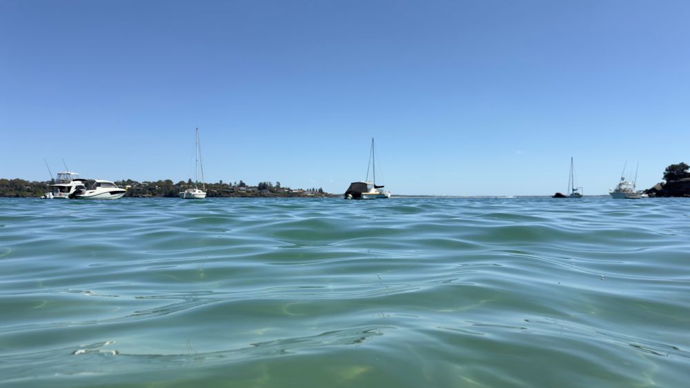 Swimmers view of nearby yachts