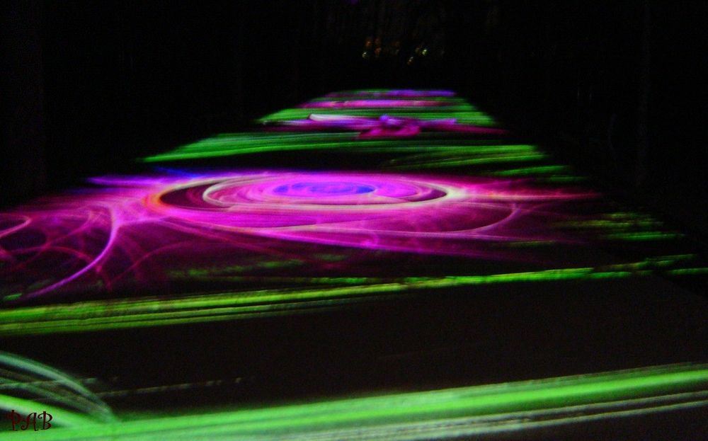 Images de fleurs et de feuilles projetées sur le sol du sentier descendant de la colline de Fourvière.