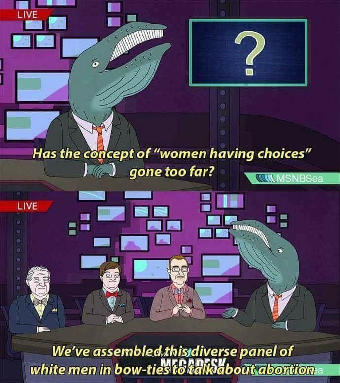 Bojack Horseman screenshot saying "has the concept of 'women having choices' gone too far? We've assembled this diverse panel of white men in bow-ties to talk about abortion" 