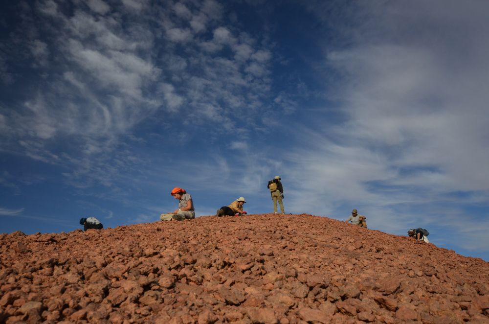 Palaeontologists looking for fossils at the Devonian locality of Hamar Laghdad, aka. the "Red Cliff".