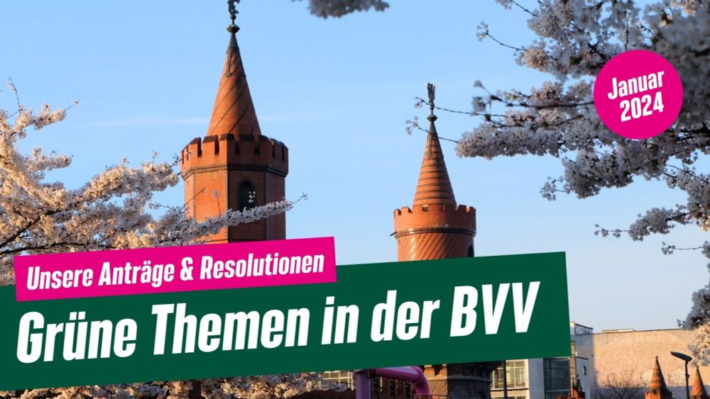 Grüne Themen in der BVV am 31. Januar 2024