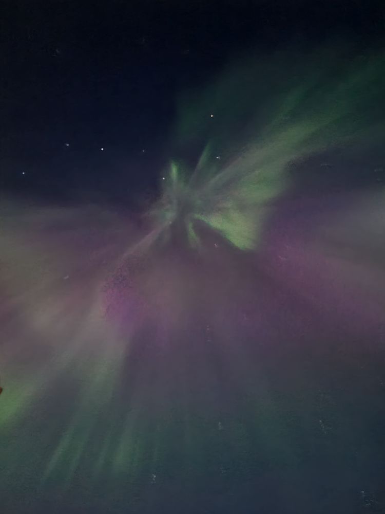 Polarlichter in pink und grün