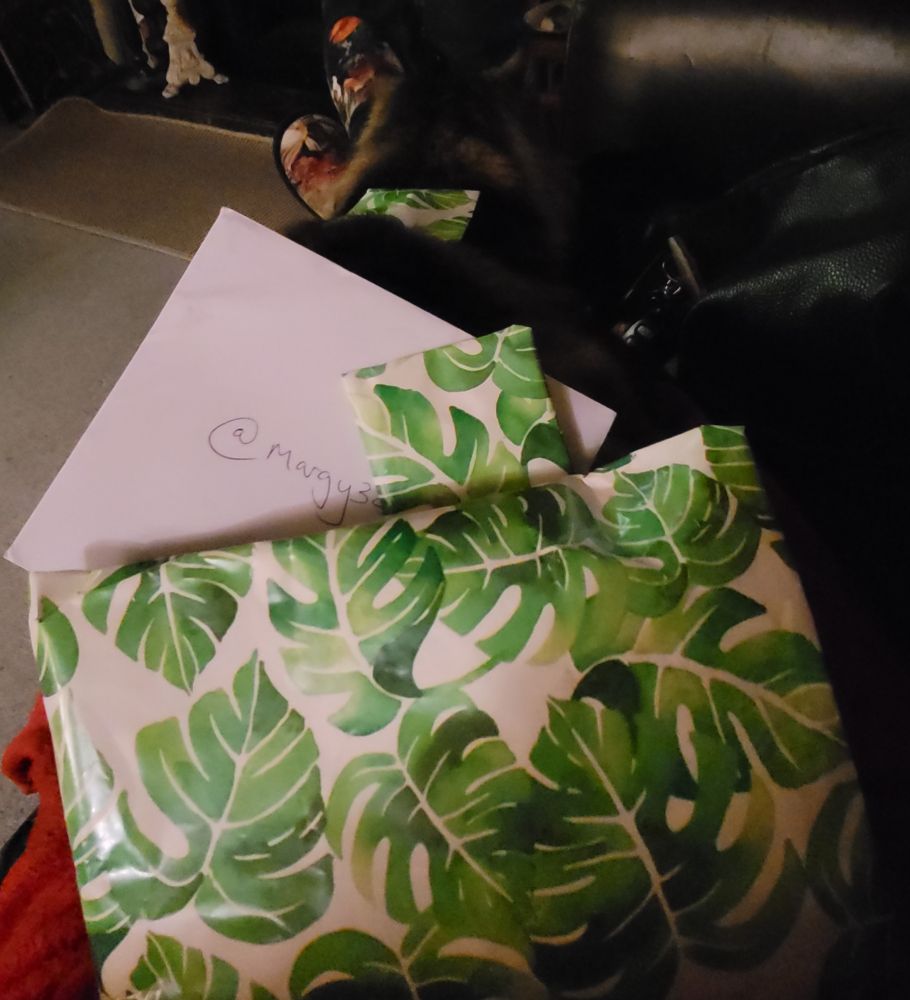 Monstera wrapped presents on top of cat in front of the fire
