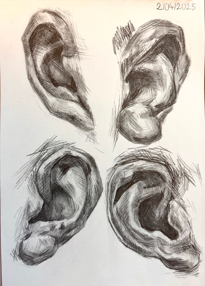 Ear sketches