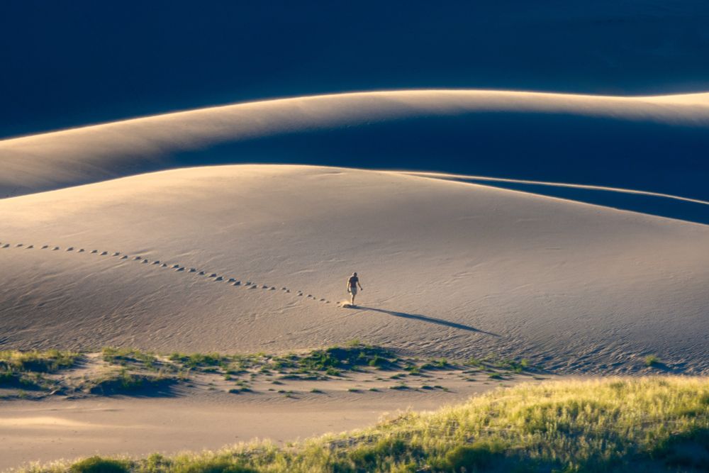 A single person leaving footprints in the vastness of the great sand dunes, taken at golden hour with small green bushes in foreground
