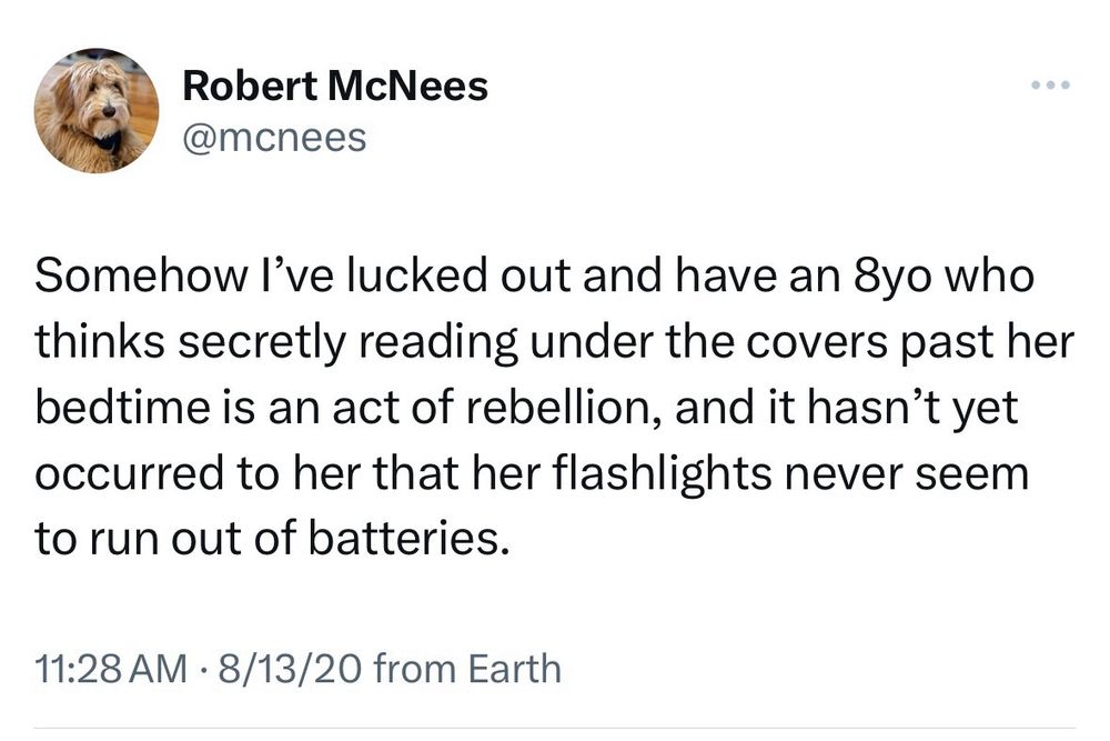 A very popular tweet I posted in 2020 that says “Somehow I've lucked out and have an 8yo who thinks secretly reading under the covers past her bedtime is an act of rebellion, and it hasn't yet occurred to her that her flashlights never seem to run out of batteries.”