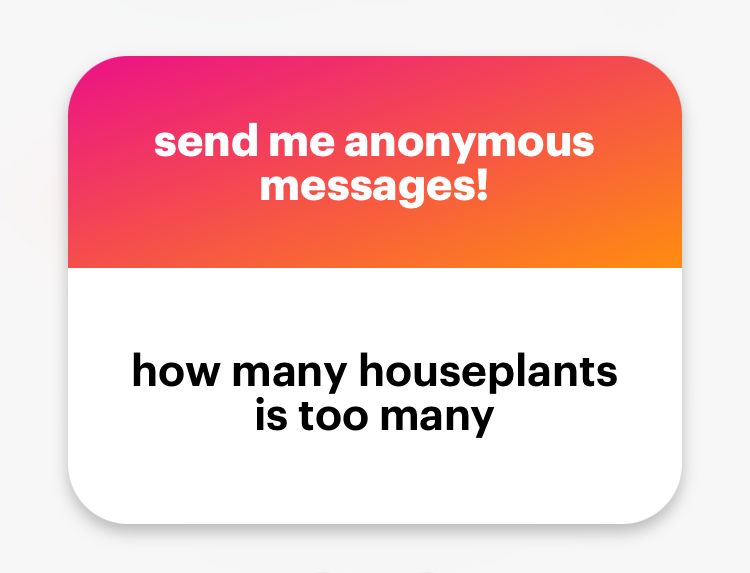 anon ask: how many houseplants is too many