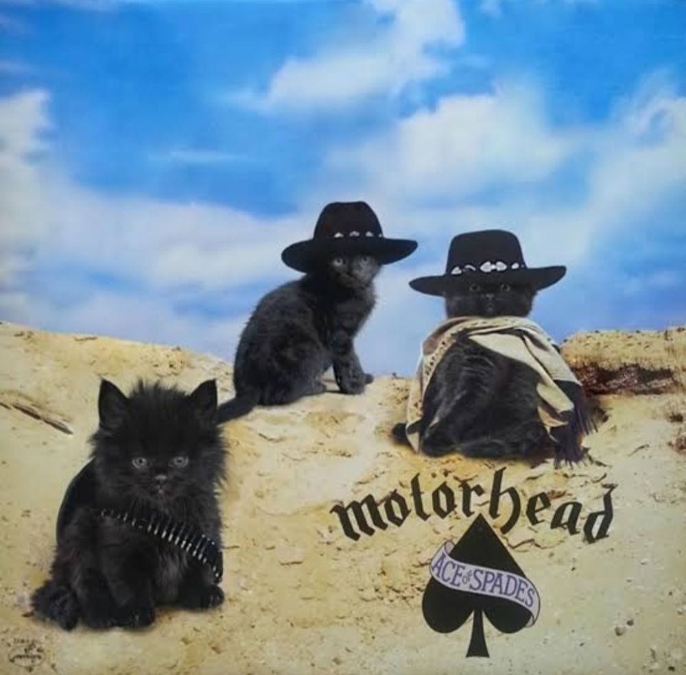 Motörhead's Ace of Spades album cover, but instead of Lemmy, Fast Eddie and Philthy Animal, it's three black kittens 