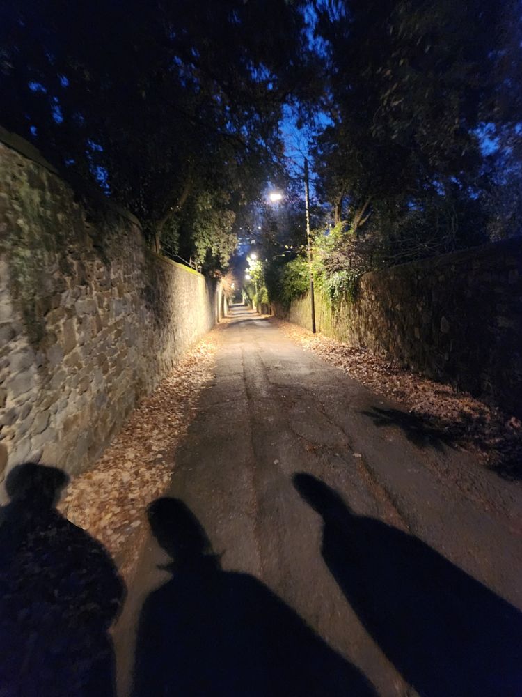 A narrow walled road at dusk. The path is lit by street lamps against a dark blue sky. The long shadows of three people occupy the foreground. 