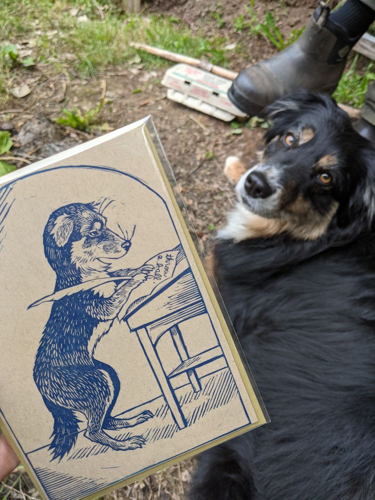 A cute dog looks at the camera as I hold up artwork I made of her