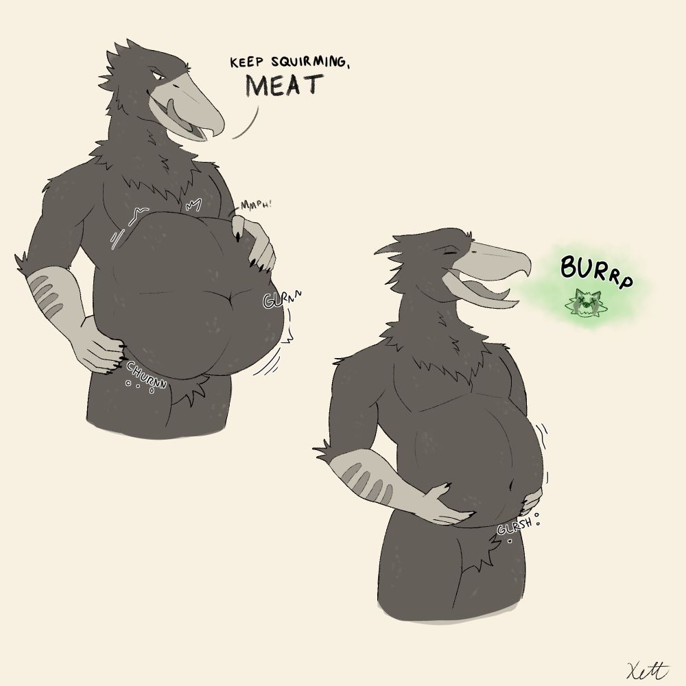 Top left: Vex (shoebill stork anthro) smugly looking down at his squirming belly with Xett digesting inside. He says, "Keep squirming, meat"

Bottom right: Vex holding a soft belly after Xett has been completely digested. He lets out a burp with Xett's face in the burp cloud.