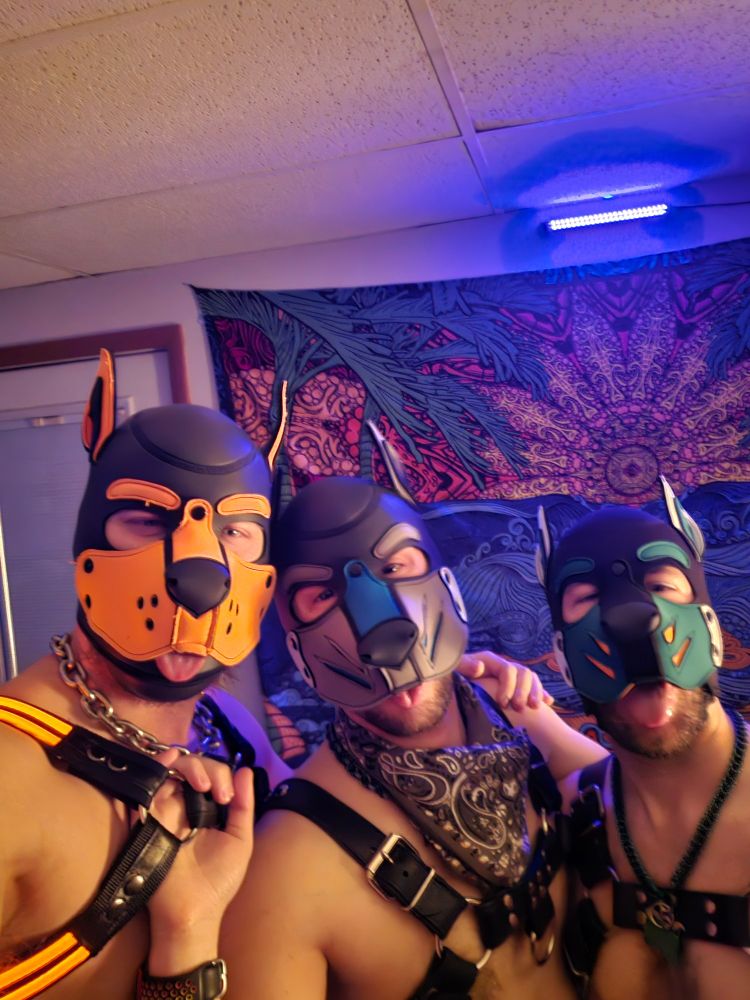 Cypher, Echo, and Null
