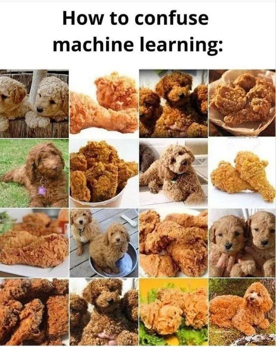 The title says: "How to confuse machine learning". There are images of dogs that are orange and have wavy hair, but on some pictures there is a fried chicken.