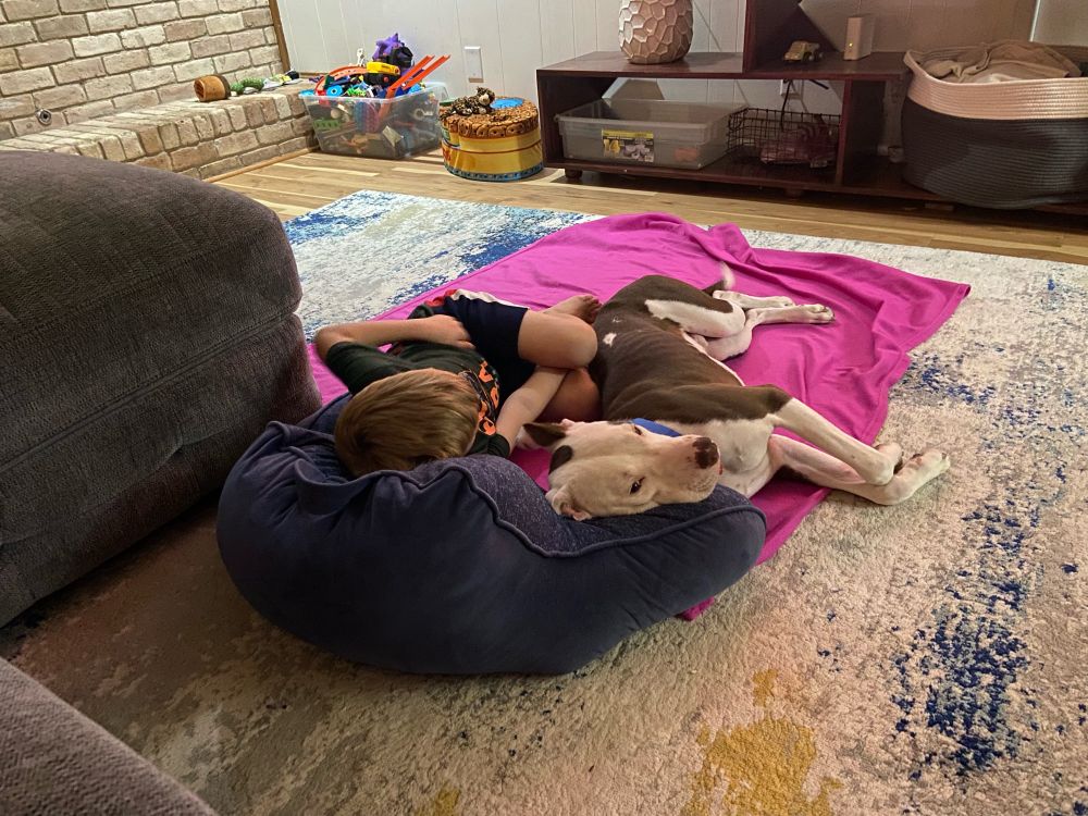 Malcolm and Axl lying down together, sharing a blanket and reading pillow.