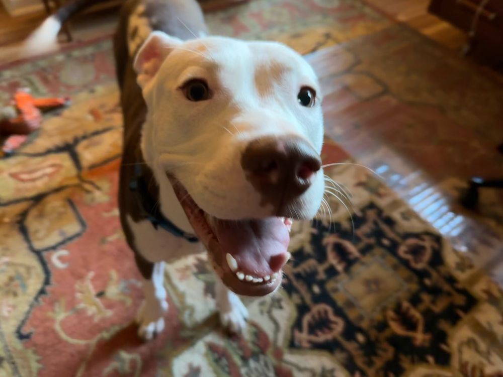 Axl Hughey again, this time in close-up on his smiling face 