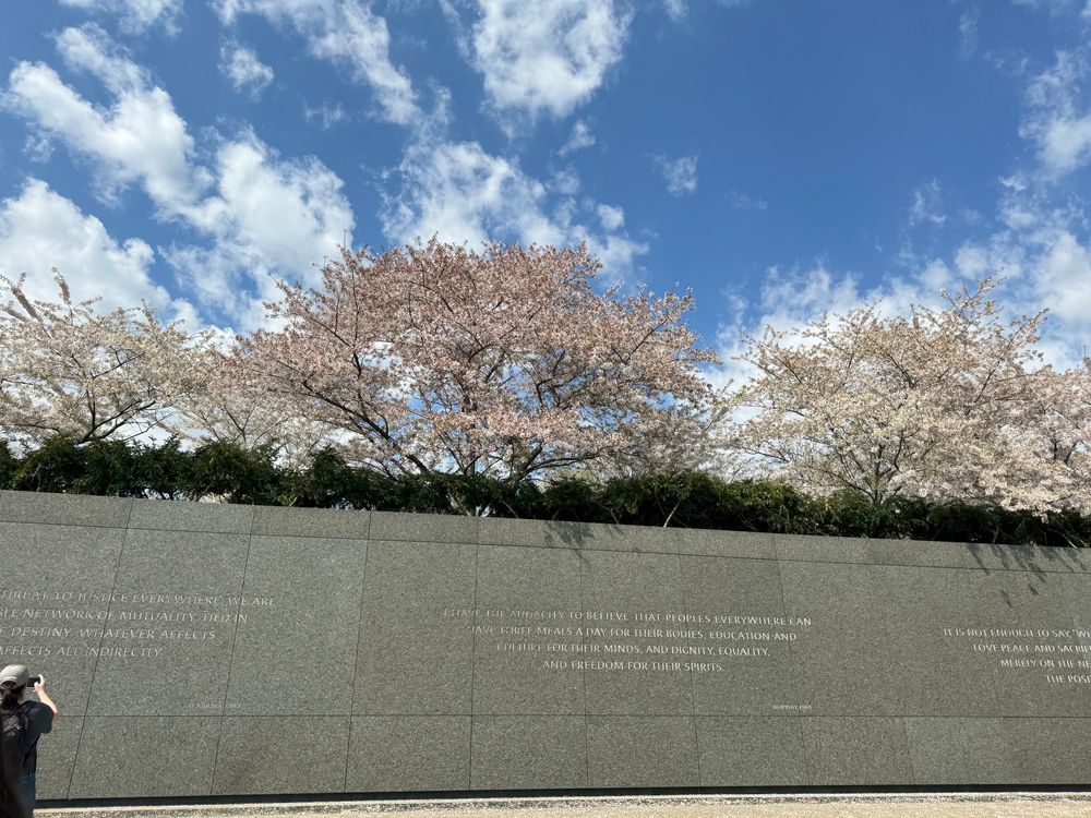 Cherry tree in Washington DC overlooking wall inscription that says” I have the audacity to believe that peoples everywhere can have 3 meals per day for their bodies, education and culture for their minds, and dignity, equality, and freedom for their spirits. Norway 1964
