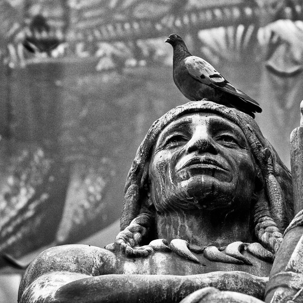 Das quadratische Schwarzweißbild zeigt die Statue eines amerikanischen Ureinwohners mit einem Federschmuck. Auf dem Kopf der Statue sitzt eine Taube.