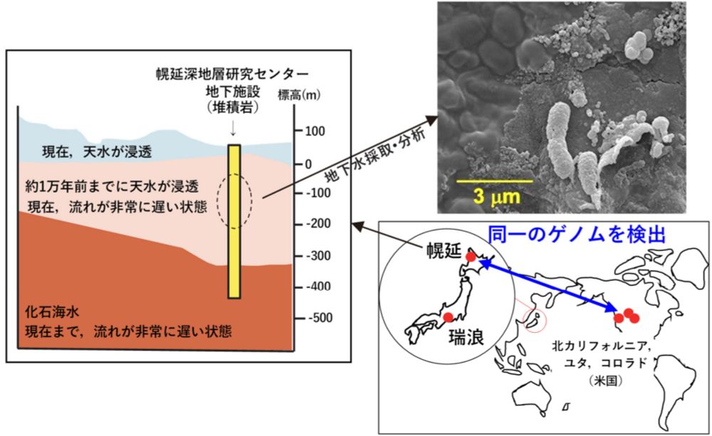 東京大学 地球惑星科学専攻・学科／Earth Planet. Sci., UTokyo