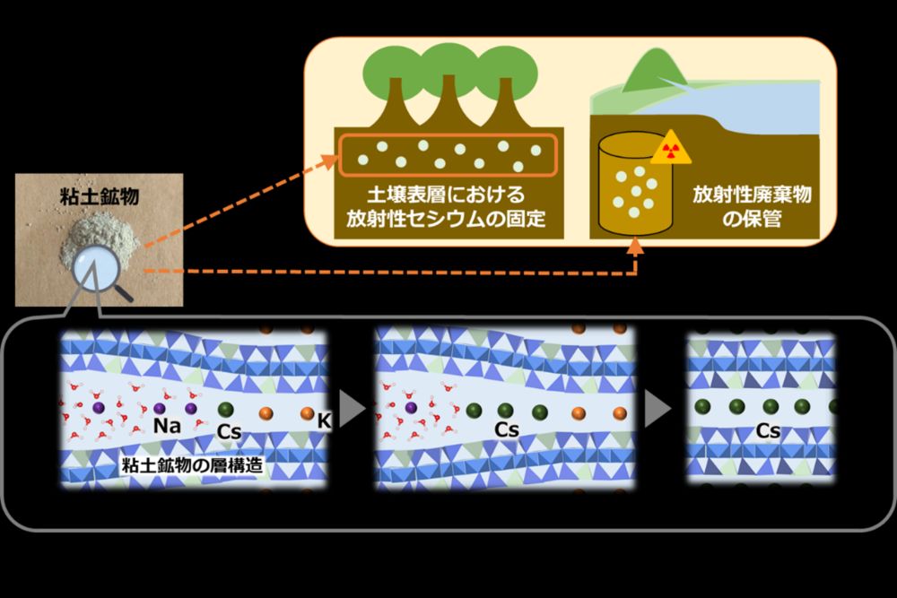 Amazon.co.jp: 日本科学技術大系 3冊セット 121314 数理科学