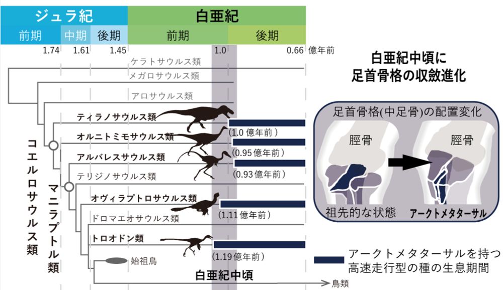 東京大学 地球惑星科学専攻・学科／Earth Planet. Sci., UTokyo
