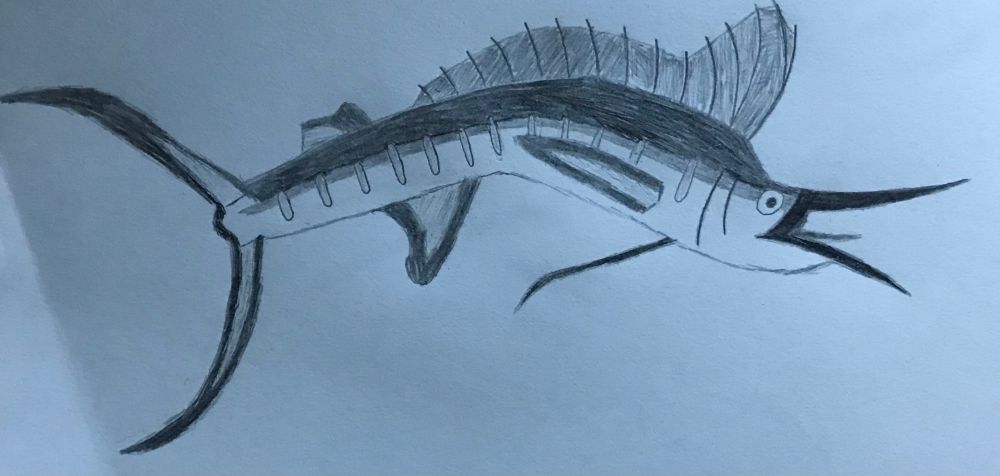 A swordfish.