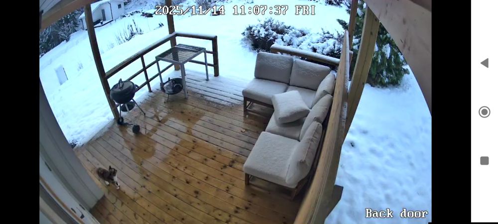 Una terrassa de fusta a un jardí nevat.