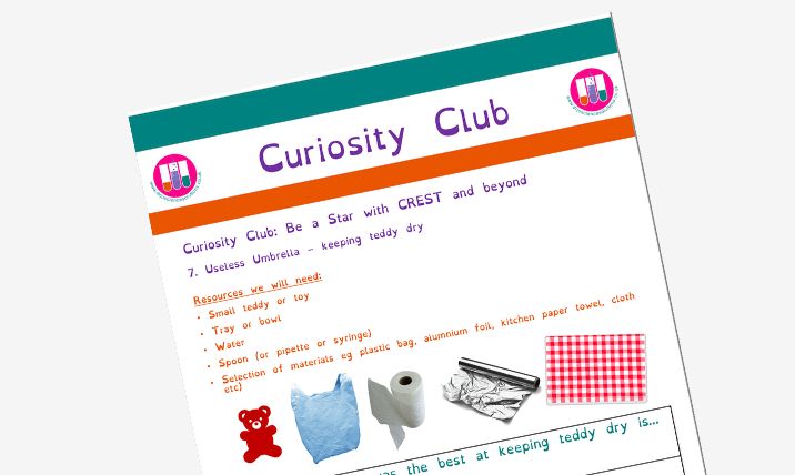 colourful worksheet with images of materials to test for an umbrella to keep teddy dry