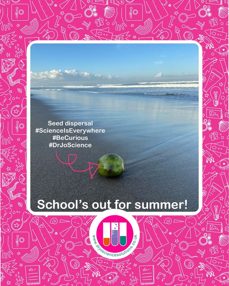 a green coconut washed up on the beach, waves breaking in the background. Text reads school's out for summer! Seed dispersal and other hashtags as per text in post.