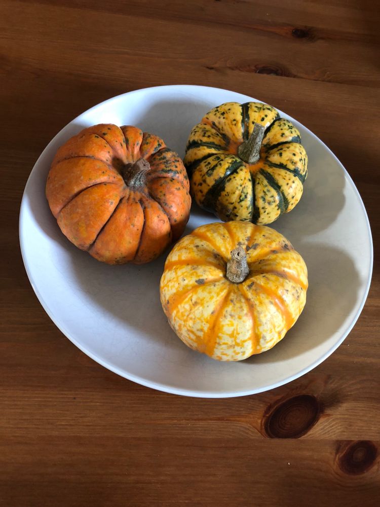 3 mini pumpkins in a bowl