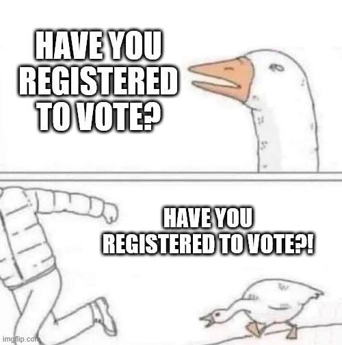  A two image meme. The top image is has a goose asking: "Have you registered to vote?" The bottom image shows a goose running after someone, again, asking: "Have you registered to vote?"