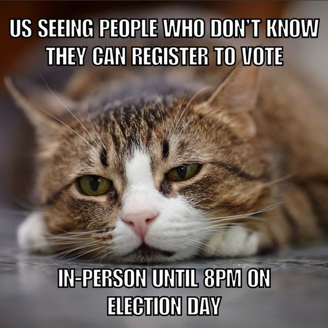 A picture of an incredibly sad brown tabby cat with a white face and paws. Image text reads: "Us seeing people who don't know they can register to vote in-person until 8PM on Election Day."