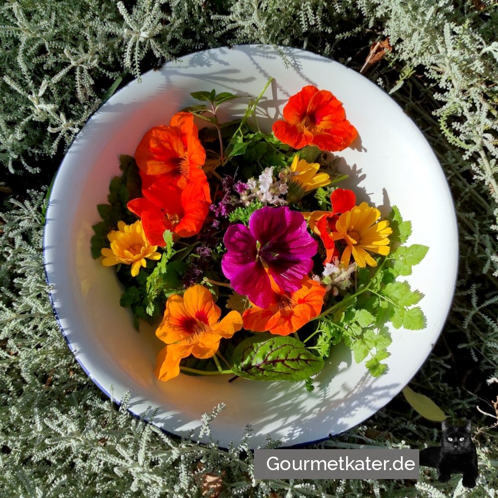 Schüssel mit Blüten