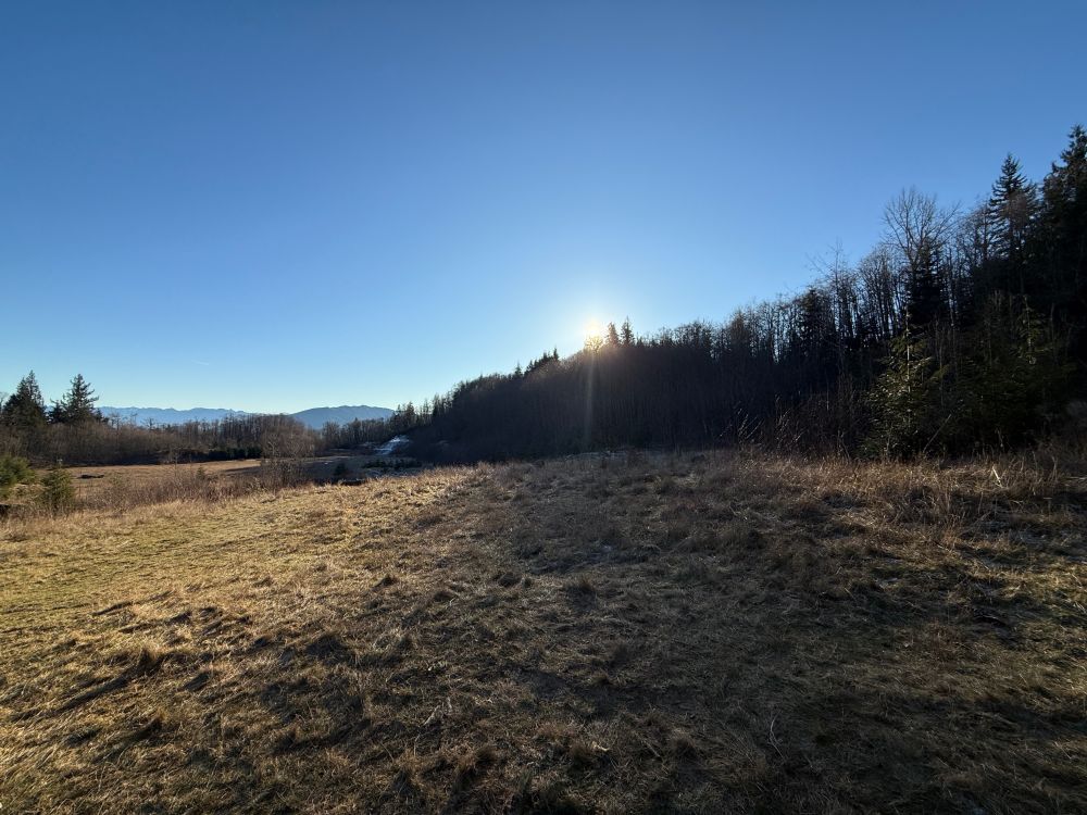 Sunrise hiking photo of a field and trees in the distance.