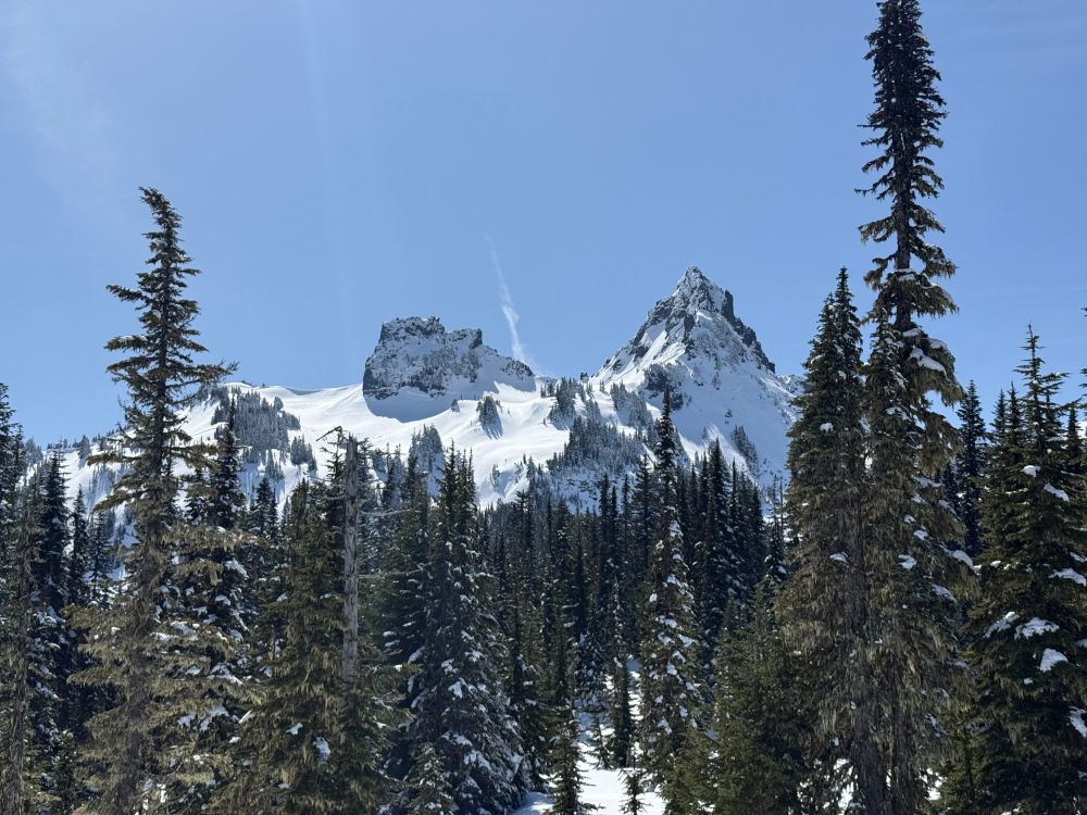 View of Pinnacle Peak