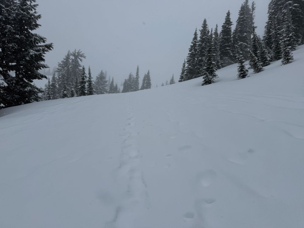 Heading up the trail in snowshoes.