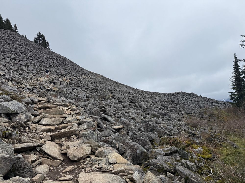 Picture of a steep rocky trail heading towards the top of Mailbox Peak.