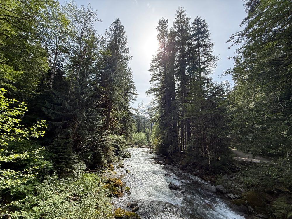 A view of "Troublesome Creek" near Index, WA from a hiking trail with trees on either side.
