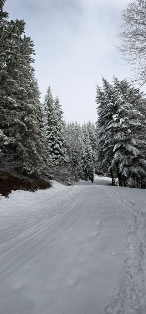View from the snowshoeing trail