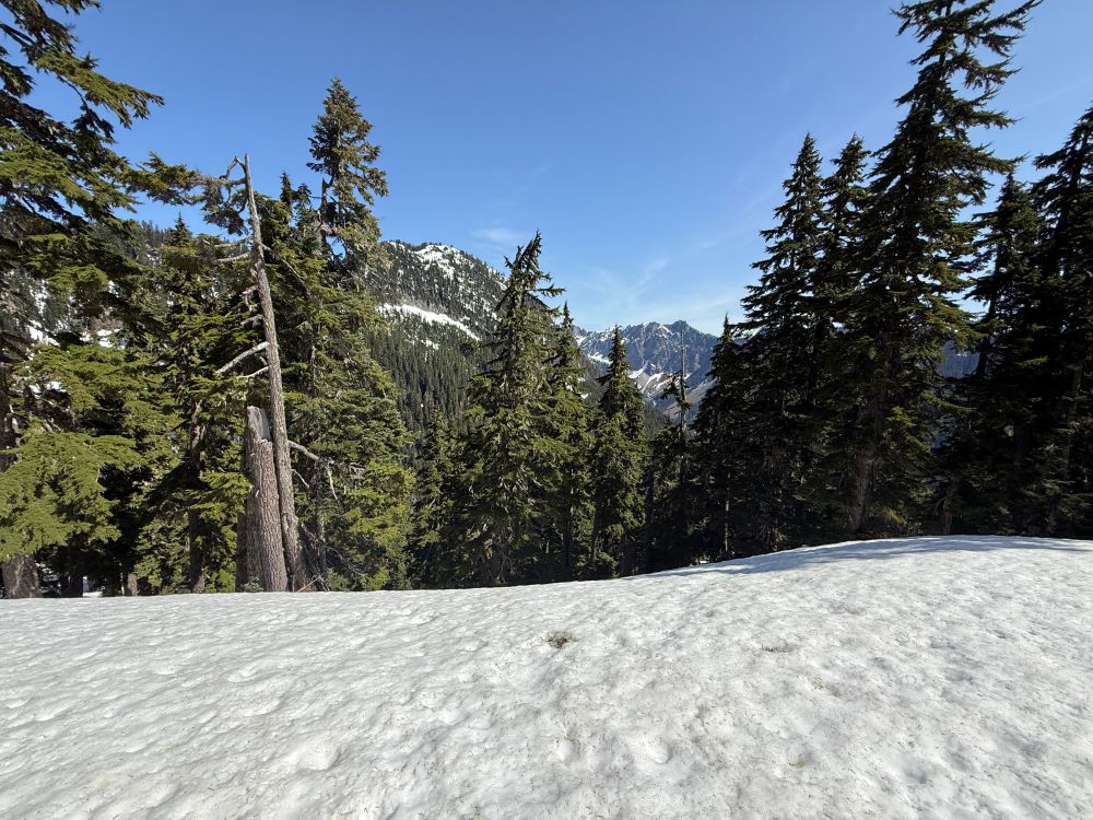 View from a ridge with snow, trees and mountains in the background.
