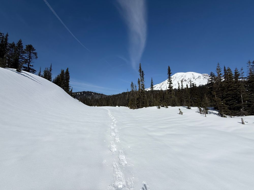 Mt Rainier and the snowshoe trail behind me (first person of the day to get here after some fresh snow).